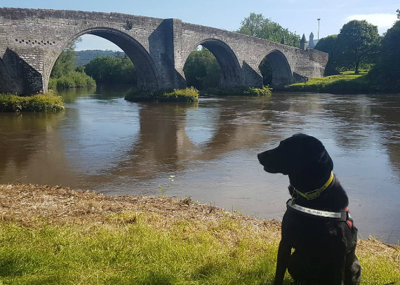 Braveheart (Stirling Bridge)